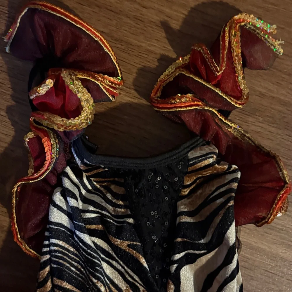 Zebra Print Kids dance dress with Red Tutu dance costume